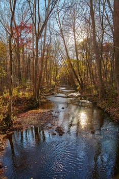A tranquil autumn river flowing through a dense forest in Bicentennial Acres, Fort Wayne, Indiana. The golden sunlight casts a warm glow on the meandering water, highlighting the vibrant fall foliage. A serene nature landscape.