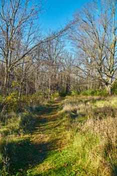 Escape into the peaceful serenity of Bicentennial Acres as you wander along a quiet trail, surrounded by the beauty of nature in Fort Wayne, Indiana. This captivating landscape captures the essence of tranquility and the changing seasons.