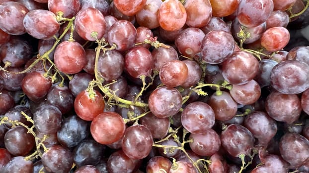 Close up of raw organic sweet red grapes background, wine grapes texture, Healthy fruits Red wine grapes background, top view fresh local produce, good for your multimedia content creation