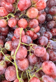 Close up of raw organic sweet red grapes background, wine grapes texture, Healthy fruits Red wine grapes background, top view fresh local produce, good for your multimedia content creation