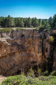 Sunny cliff face beside dense forest under a clear blue sky