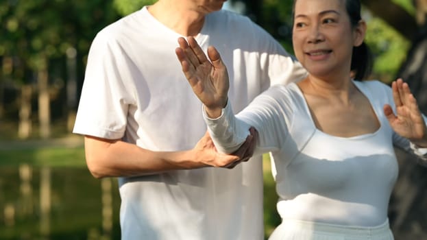 Calm senior people practicing posture during Tai Chi class, finding balance and calmness in nature.