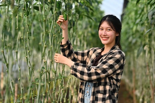 Smiling Asian female farmer standing among growing bell peppers. Agribusiness and eco farming concept