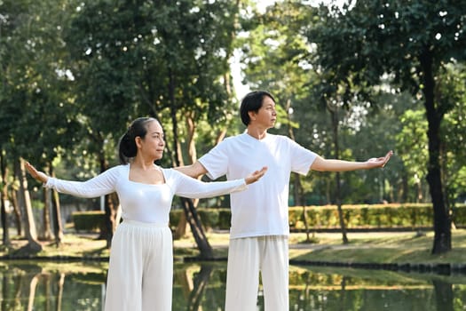 Calm senior people practicing posture during Tai Chi class, finding balance and calmness in nature.