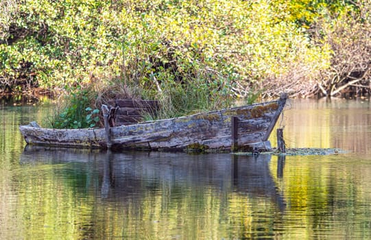 old little boat in the water, natural