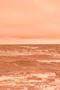 Peach fuzz toned sea beach. North sea. Stormy weather: strong waves, gloomy sky, sea foam. Trendy colour 2024. High quality photo