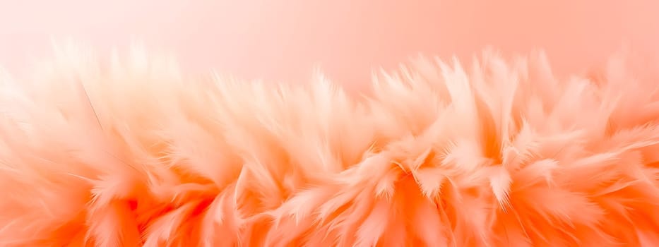 bird feather structure in detail, banner in peach color 2024, banner.