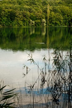 Beautiful landscape quiet forest lake nice