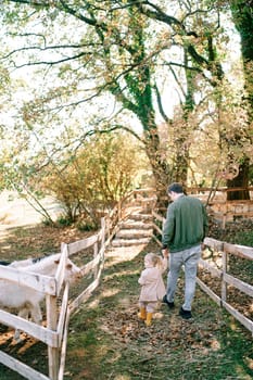 Dad and a little girl are walking along a path between fences with a pony in the garden. Back view. High quality photo