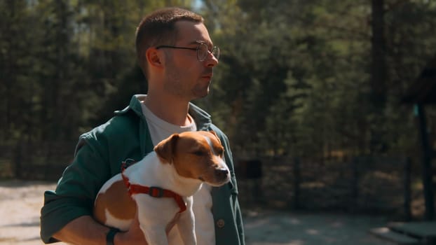 Man holds dog in hands in woods. Stock footage. Man holds Jack Russell terrier in arms. Man holds dog in arms in park on sunny summer day.