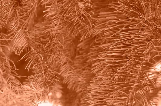 Peach fuzz toned fir branches spruce. Close up. Spruce needles monochrome. Fluffy Christmas tree spruce 2024 color. High quality photo