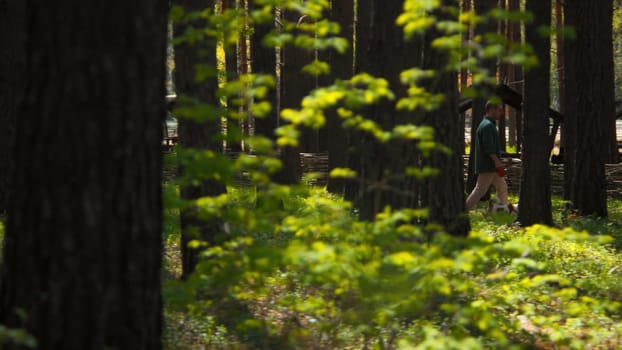 Man walks dog on sunny day in park. Stock footage. Green summer park with walking man and dog. Man walks dog in summer recreation park.