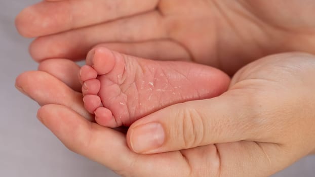 A young mother holds the foot of her newborn son. Close-up of female hands