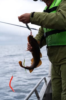 A skilled fisherman carefully removes a fish from the hook surrounded by stunning Norwegian nature. Enjoy the peaceful and serene fishing experience in the breathtaking landscapes of Norway.