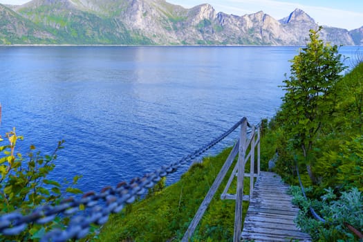 In the stunning Norwegian mountains, a rustic wooden ladder sits on a pathway, symbolizing the journey to health and well-being, creating a harmonious blend of natural beauty and fitness inspiration.