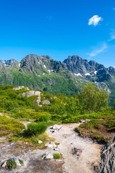 Amazing view at Lofoten islands Austvagoya, Austnesfjorden, Norway. Fjord summer landscape travelers rest area. Nordland, Coastline sea, ocean with mountains in background