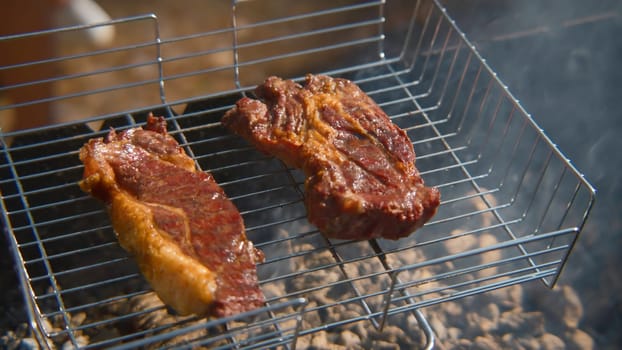 Close-up of juicy pieces of meat on grill and coals. Stock footage. Juicy grilled meat on grill in nature on sunny summer day. Two pieces of grilled meat with barbecue.
