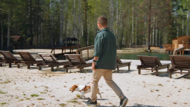 Man walks with dog on beach in woods. Stock footage. Man walks with his dog on sand at resort in summer. Man with dog walking on shore of pond in forest on sunny summer day.