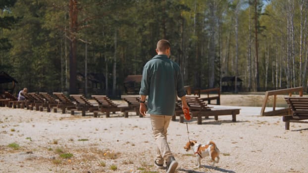 Man walks with dog on beach in woods. Stock footage. Man walks with his dog on sand at resort in summer. Man with dog walking on shore of pond in forest on sunny summer day.