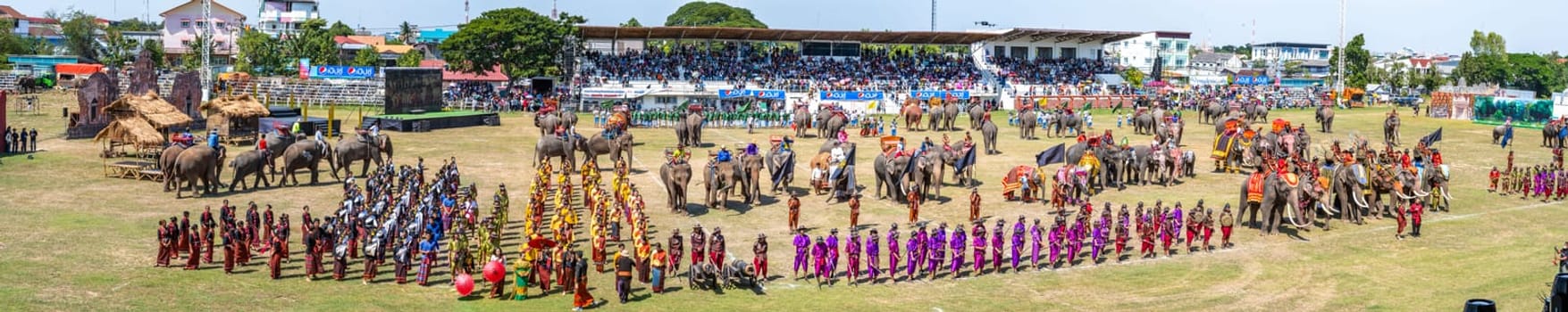 Surin Elephant roundup festival 17 november 2023. High quality photo