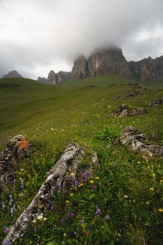 Summer time in the Alps. landscape with mountains, hills, grass, flowers and fog.