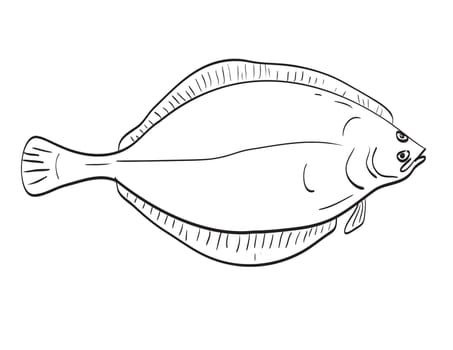Drawing sketch style illustration of an American Plaice or Hippoglossoides platessoides fish species native to New England and Mid Atlantic on isolated white background done in cartoon art style.
