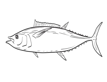 Drawing sketch style illustration of an Atlantic Bigeye Tuna or Thunnus obesus fish species native to New England and Mid Atlantic on isolated white background done in cartoon art style.
