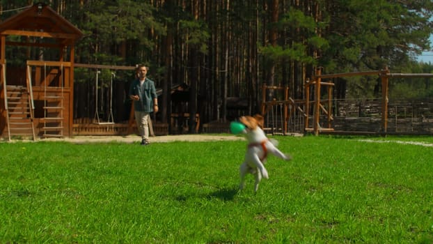 Man throws ball to dog. Stock footage. Man is playing ball with dog on green grass with recreation area. Man throws game ball to dog on sunny summer day.