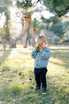 Little girl sniffing a pine cone in her hands while standing on the lawn in the park. High quality photo