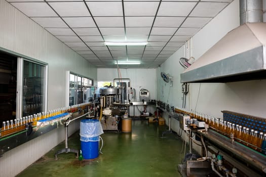 An automated bottling line in a large factory fills transparent bottles with organic basil or chia seed drinks infused with pomegranate. Quality manufacturing is evident in this clean healthy process.
