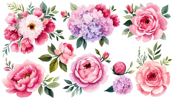 Set Spring flowers on white background. Watercolor illustration. Pink peonies, leaves, illustration