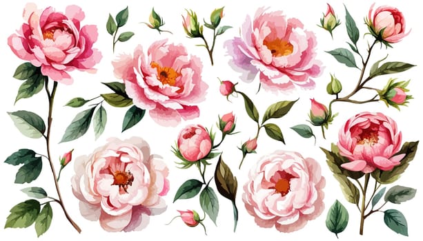 Floral illustration set bouquet pink peonies, wreath, frame green leaves, pink peach blush white flowers branches. Wedding invitations, greetings, wallpapers, fashion, prints. illustration