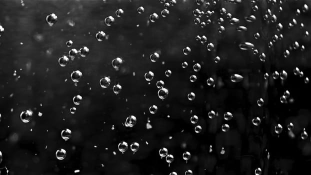 Abstract air bubbles moving underwater. Close up of round transparent oxygen bubbles flowing slowly isolated on black background, monochrome.