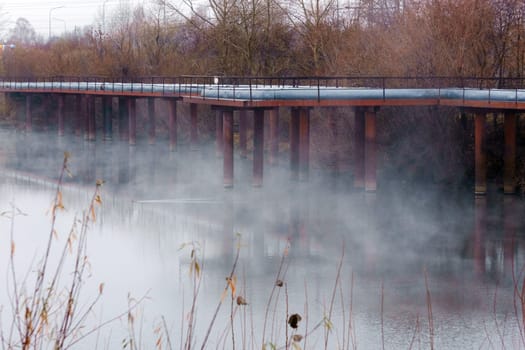 Mystical Waters A Serene Reflection of Nature's Elegance and Enigma