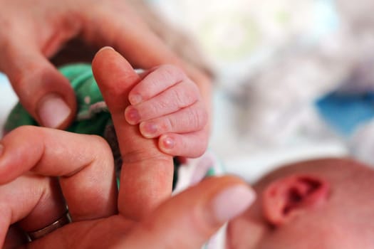 Baby hand. Selective focus on hand. Happy Family concept.