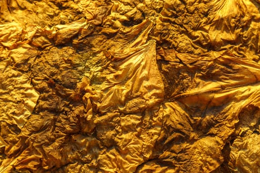 Dry Tobacco leaves background, close up. Tobacco big leaf, macro