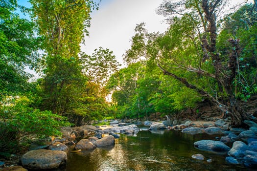 Mystical Cascades Shallow Stream and Pebbles in the Enchanting Forest