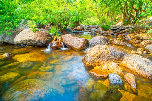 Ethereal Cascades Serene Flow of a Shallow Stream in the Enchanting Forest