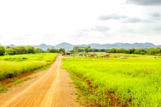 Harmonious Oasis Bamboo Farmhouse and Country Road in Rural Thailand