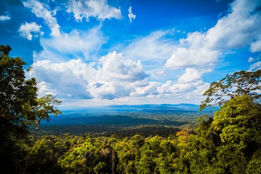 Majestic Mountain Solitude Serene Woodland Cliffscapes