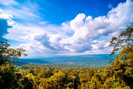Majestic Mountain Solitude Serene Woodland Cliffscapes