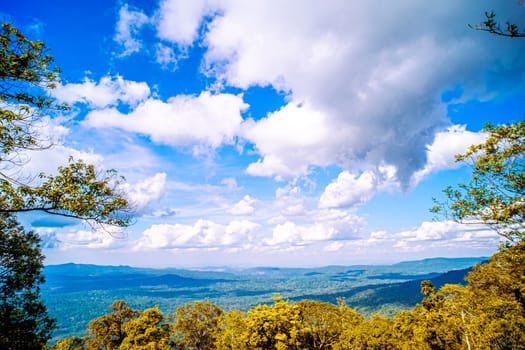 Majestic Mountain Solitude Serene Woodland Cliffscapes