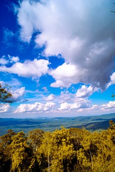 Majestic Mountain Solitude Serene Woodland Cliffscapes