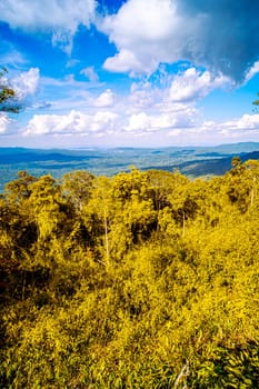 Majestic Mountain Solitude Serene Woodland Cliffscapes