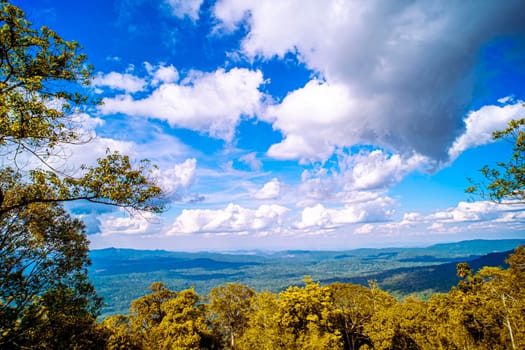 Majestic Mountain Solitude Serene Woodland Cliffscapes