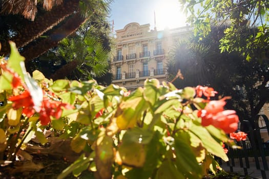 Monaco, Monte-Carlo, 09 November 2022: The Hotel Hermitage through flowers at sunny day, luxury life, building exterior of famous hotel, palm trees, sunshine, balcony. High quality photo