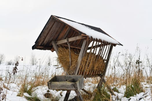 A snowy hay rack in winter. Feeding rack filled with hay and ready for winter feeding of game animals. Concept of the end of the hunting season and preparation for winter feeding of deer.