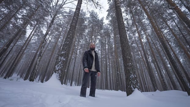 Bearded man in the winter woods. Attractive happy young man with beard walk in park. High quality photo