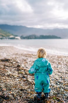 Little girl in overalls stands on seaweed on the beach and looks at the sea. Back view. High quality photo
