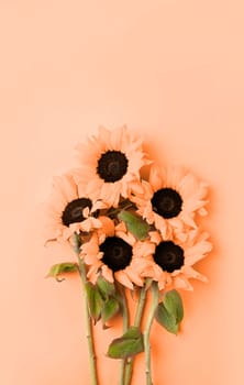 Color of the year 2024: Peach Fuzz. Beautiful fresh sunflowers with leaves on stalk on bright yellow background. Flat lay, top view, copy space. Autumn or summer Concept, harvest time, agriculture. Sunflower natural background